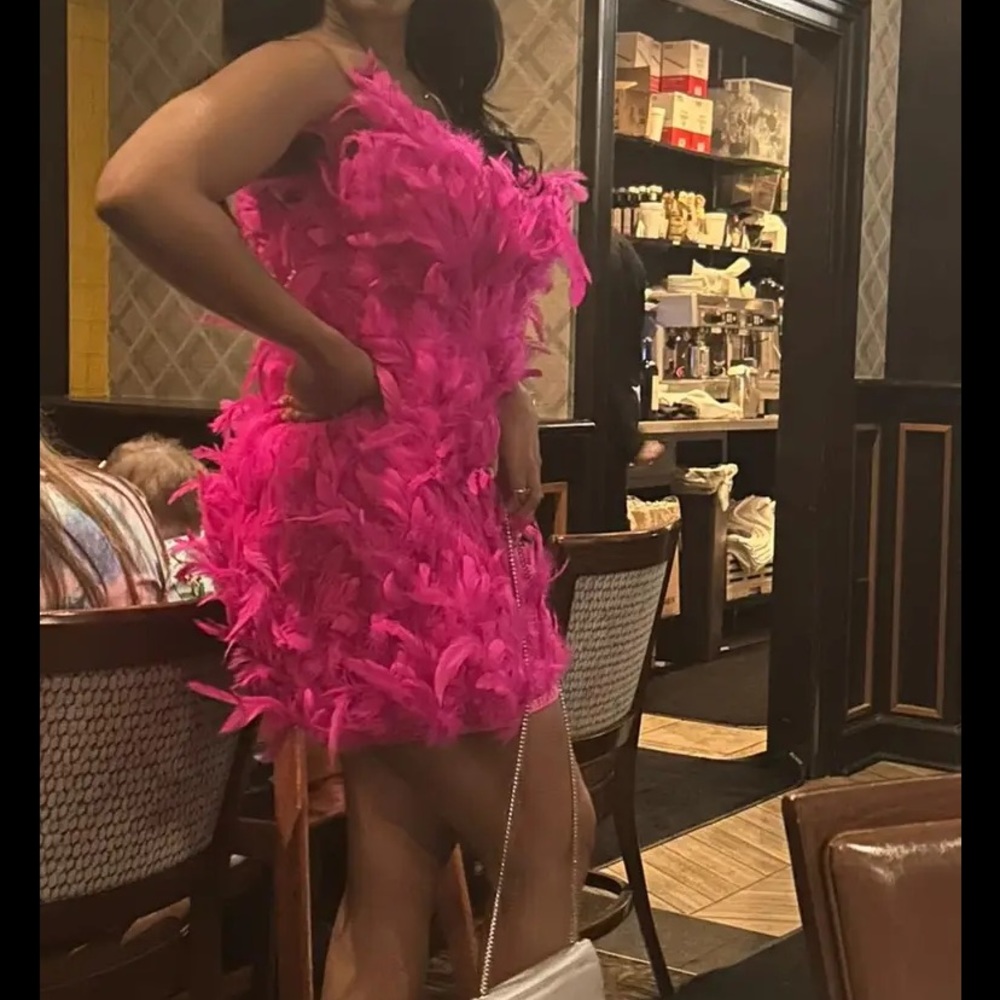 pink ostrich feather birthday dress